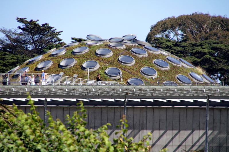 California Academy of Sciences, Golden Gate Park, San Francisco, California