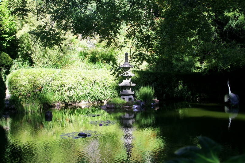 Japanese Tea Garden, , Golden Gate Park, San Francisco, California