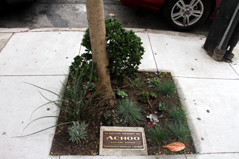 A memorial to a sneeze, San Francisco