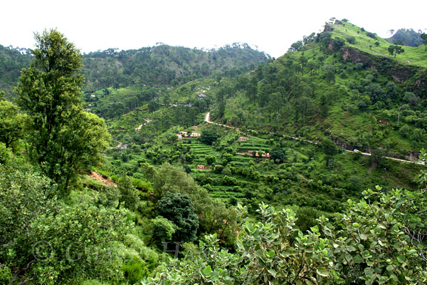 Village