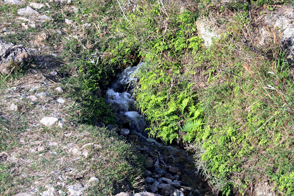 Water stream