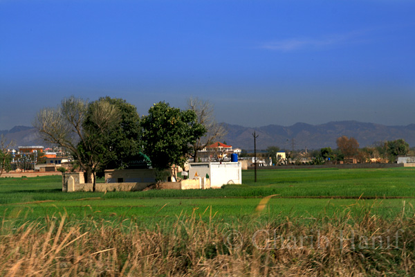 Village