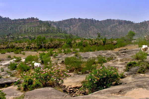 Village