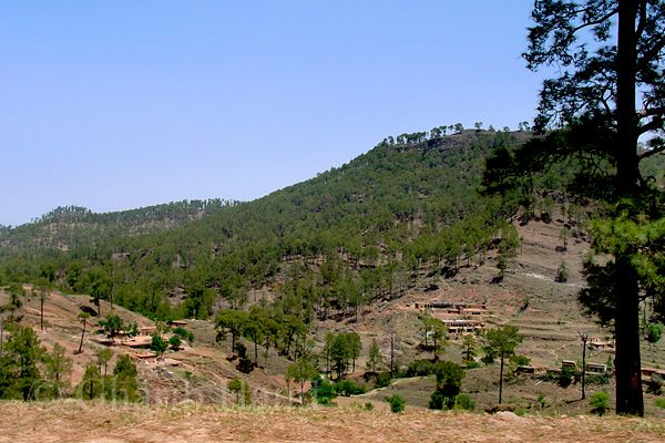 Village