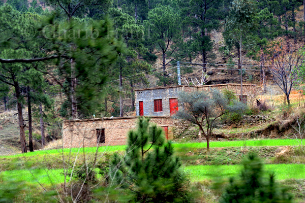 Houses