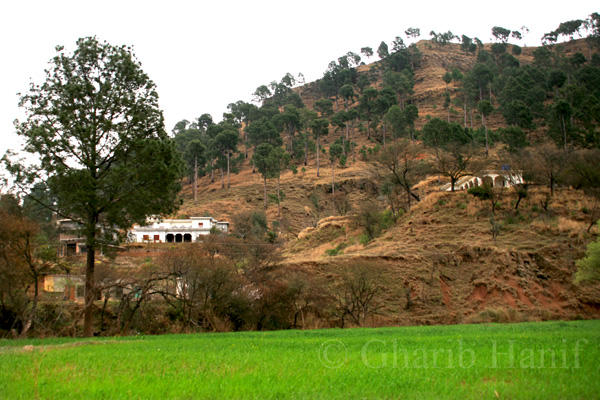 Village