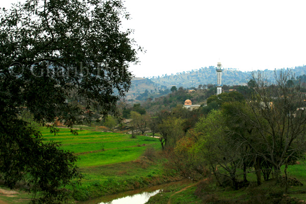 Village