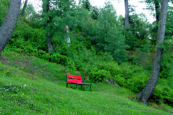 Bench