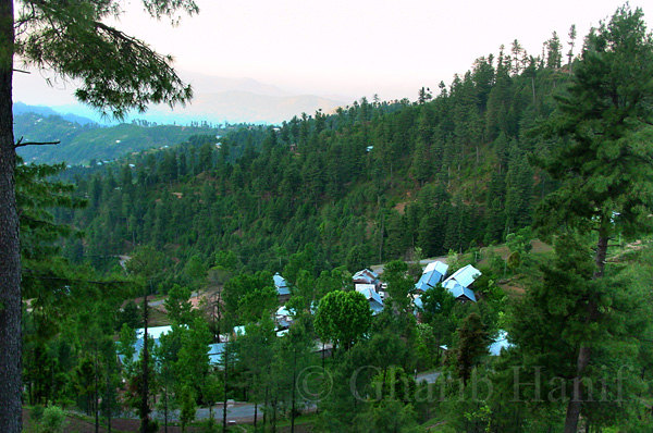 Village