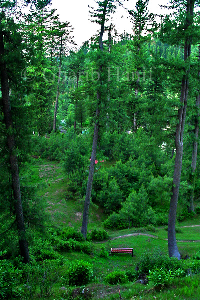 Park
