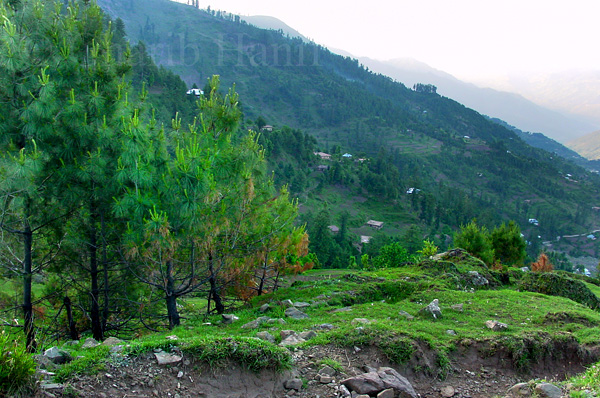 Village