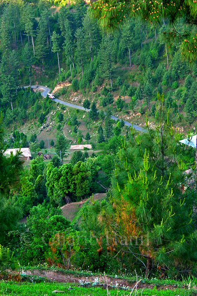 Village