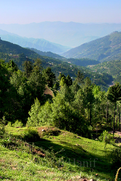 Village