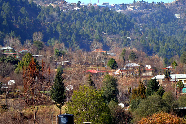 Village
