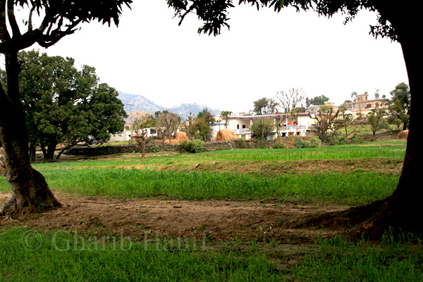 Village