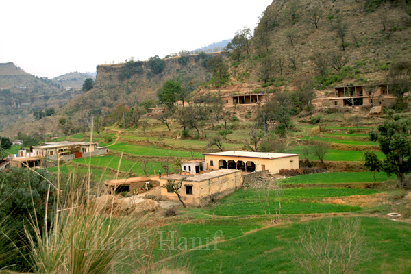 Village