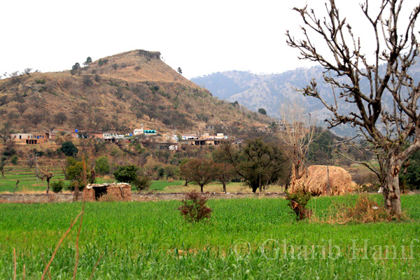 Village