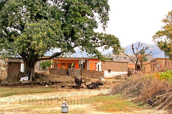 Village