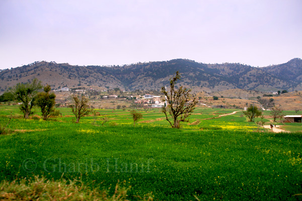 Village