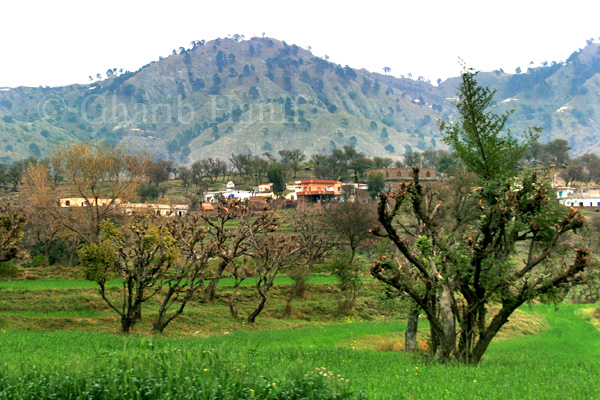 Village