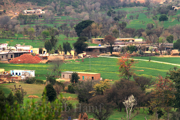 Village
