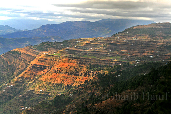 Mountainside