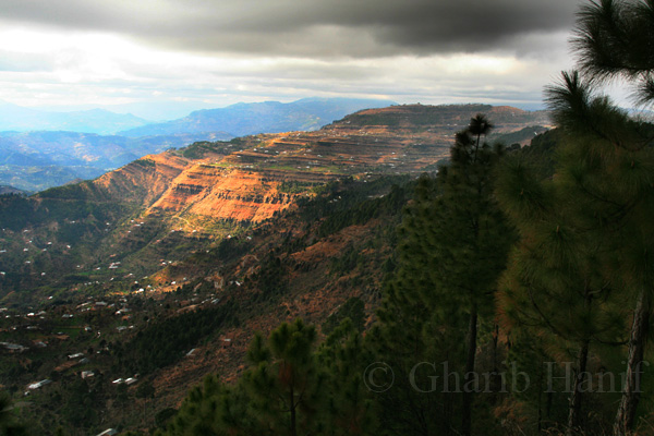 Mountainside