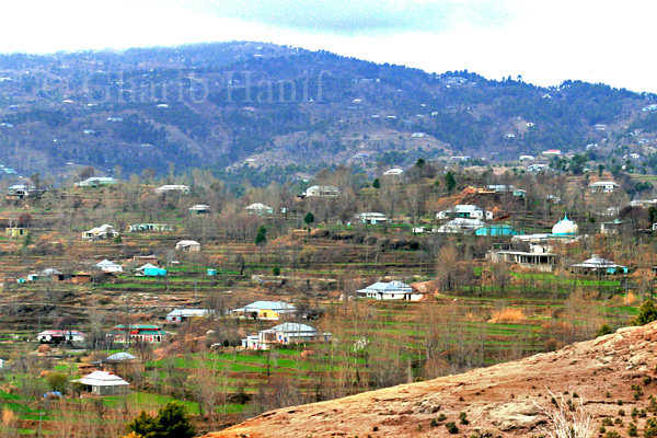 Village