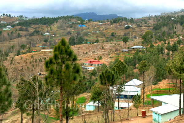 Village
