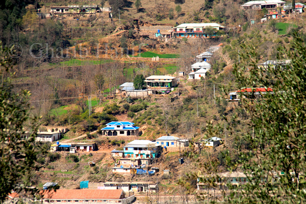 Houses