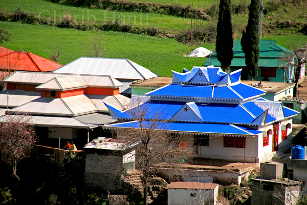 Houses