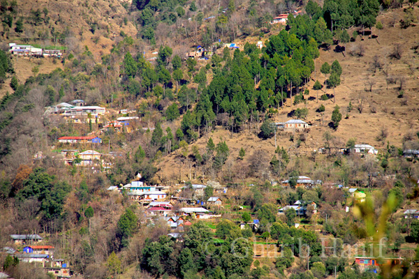 Village