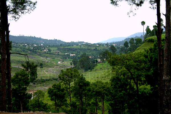 Village