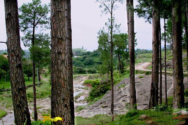 Ravine