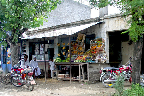 Fruit vendor