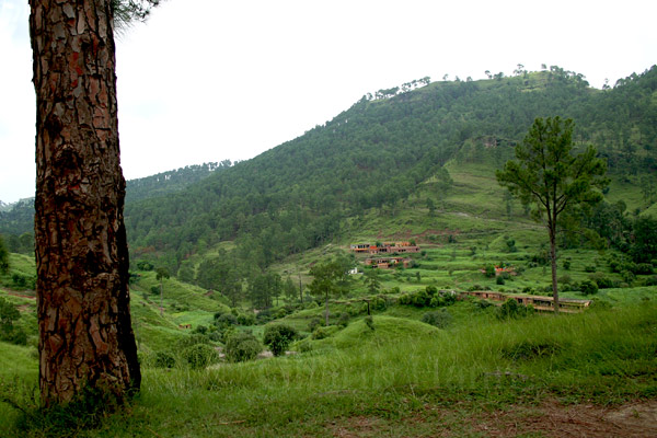 Village