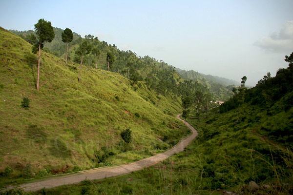 Road