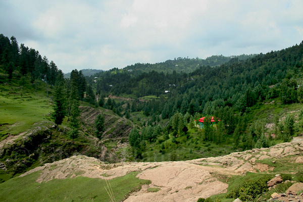 Village