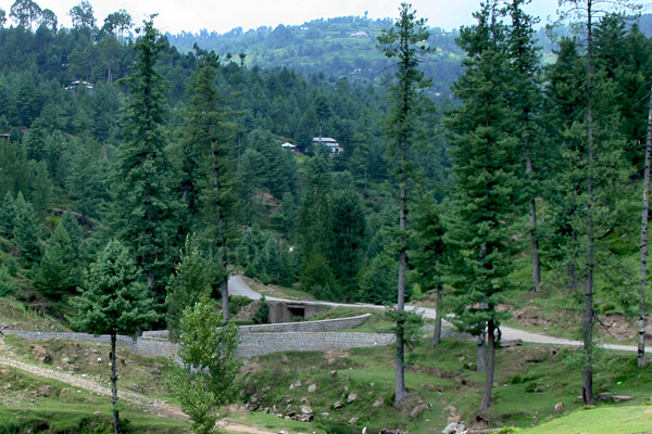 Road