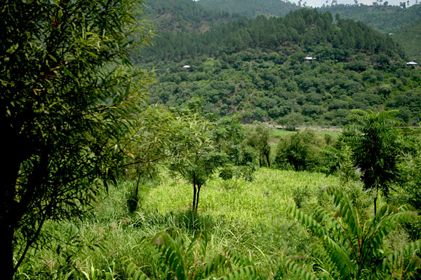 Village