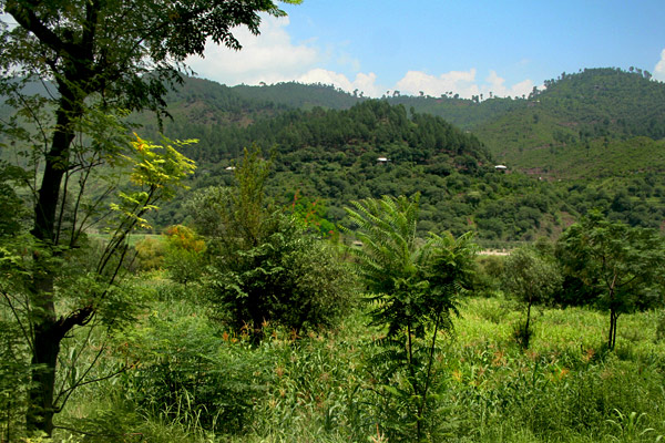 Village