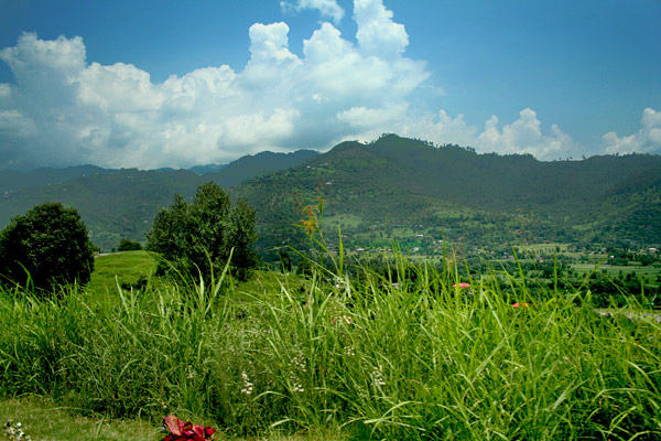 Village