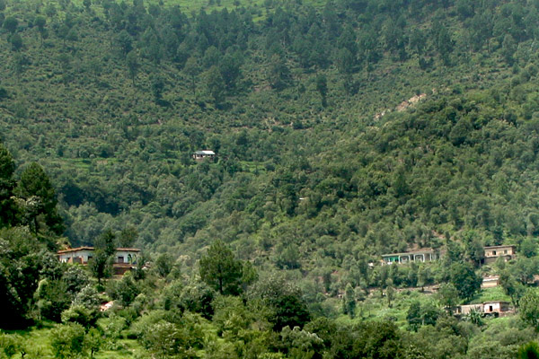 Village