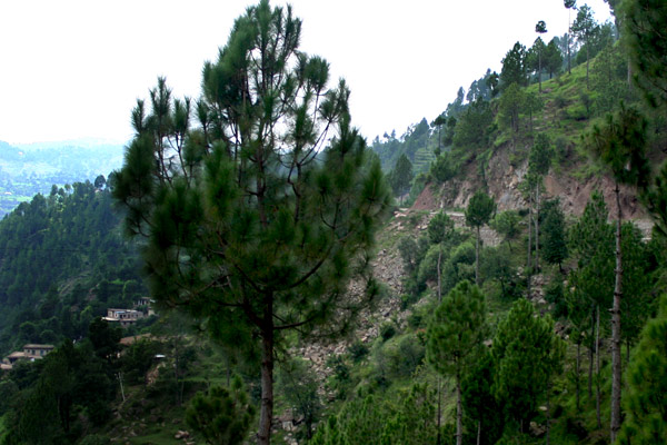 Road