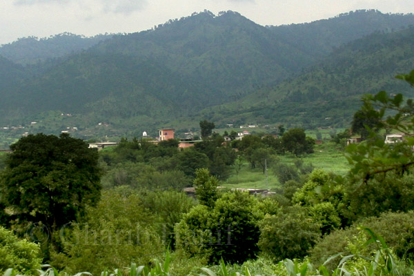 Village