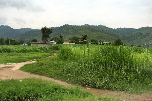 Houses