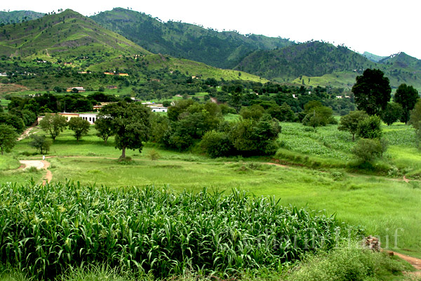 Village