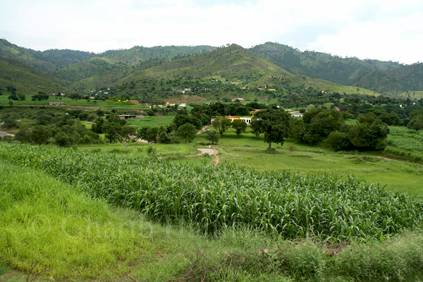 Village