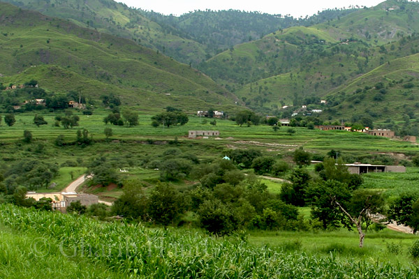 Village