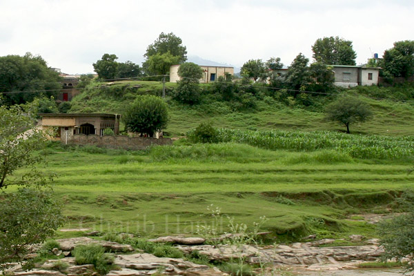 Houses
